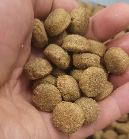 Frank's Breede ORGINAL 20 kg Koiranruoka - Franks Pro Gold kuivaruoat - FBORIGINAL20 - 1