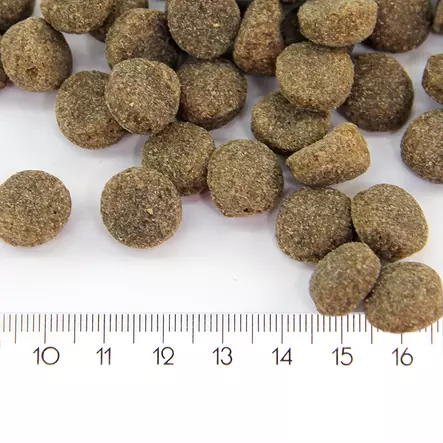 ProBooster Adult Sensitive Lamb Koiranruoka - ProBooster kuivaruoka - 6438411023822 - 2